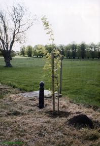 Greenwich Meridian Marker; England; Hertfordshire; Near Buntingford